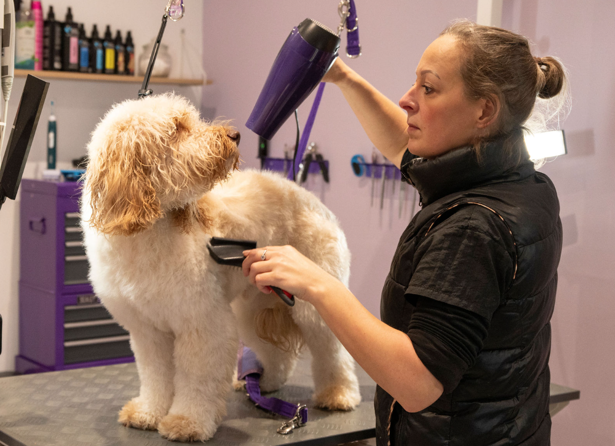 Screenshot 2024-01-16 at 15.48.54